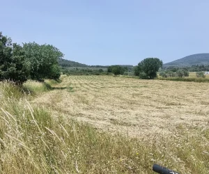 Bodrum Satılık Tarla: Toprağa Yatırım Yaparak Geleceğinizi Güvence Altına Alın