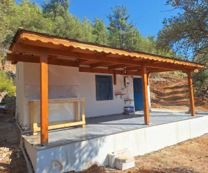 Bodrum Satılık Köy Evi: Doğal Yaşamın ve Kazançlı Yatırımın En Saf Hali
